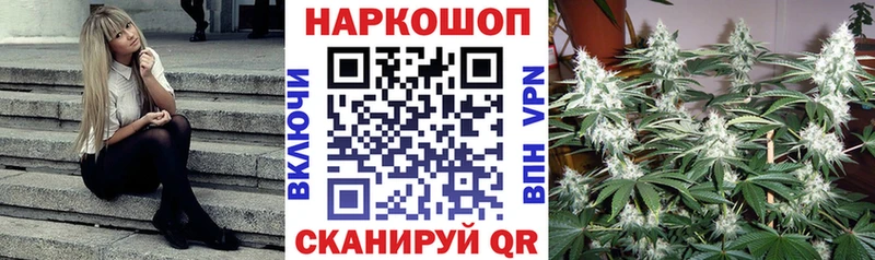 Где купить наркотики Гатчина COCAIN  Псилоцибиновые грибы  ГАШИШ  Метамфетамин  Alpha-PVP 