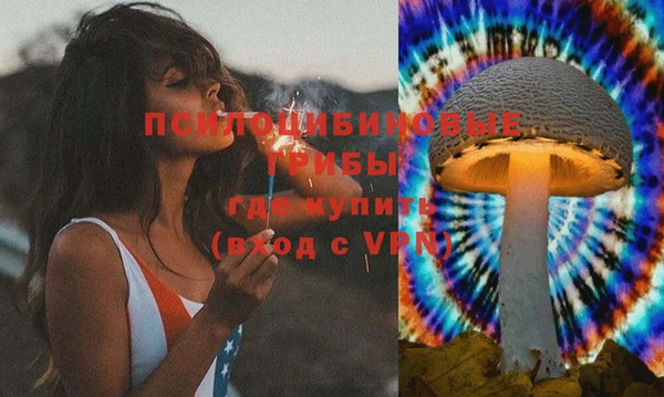 гидра Баксан