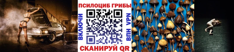 omg ТОР  Гатчина  Галлюциногенные грибы прущие грибы 